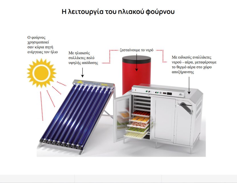 Carpus Diem Αποξηραμένα Φρούτα και Λαχανικά
